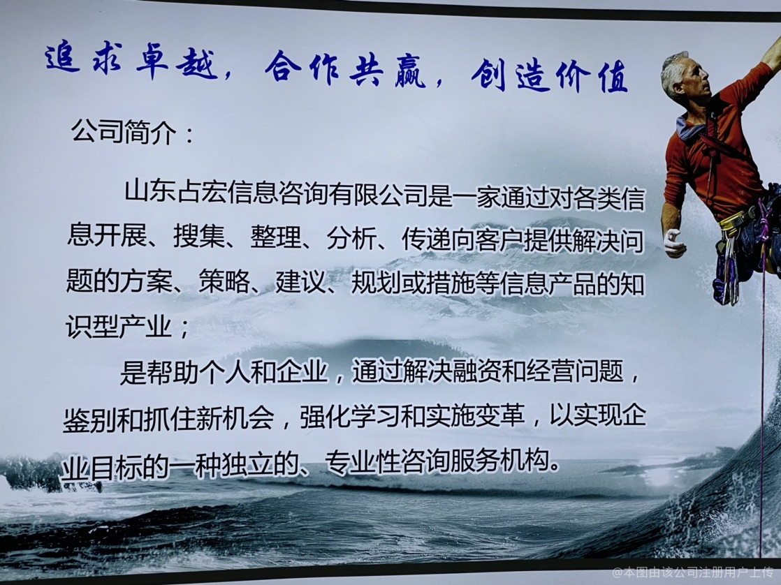 占宏信息咨询 专业信息咨询服务的价值与实践